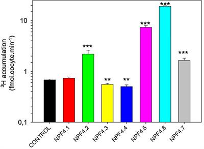 Functional Characterization of the Arabidopsis Abscisic Acid Transporters NPF4.5 and NPF4.6 in Xenopus Oocytes